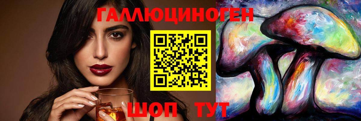 Псилоцибиновые грибы Psilocybe Белореченск