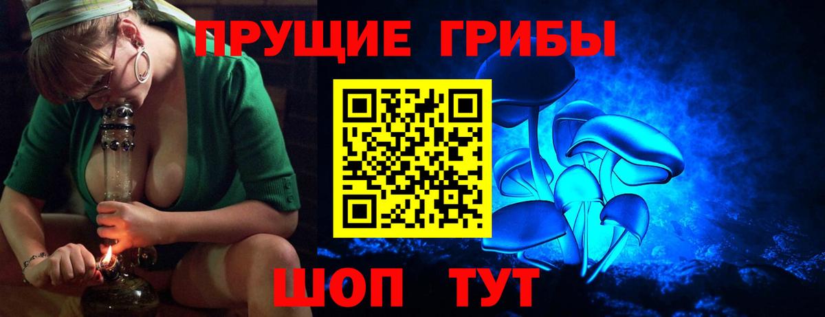 Белореченск  Галлюциногенные грибы Psilocybe  Вход с VPN 